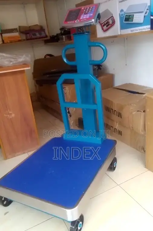 600kg Weigh Platform Accurate Weighing Scale