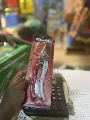 Pruning Scissors