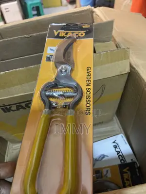 Pruning Scissors