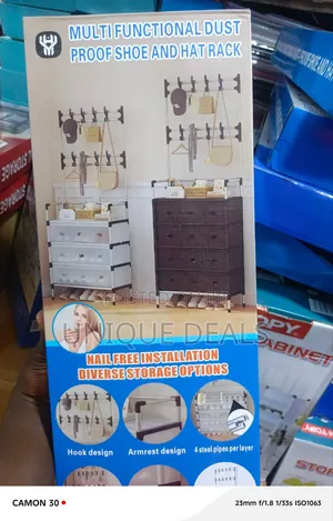 Multifunctional Dustproof Shoe and Hat Rack