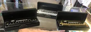 Harmonica Hole 10