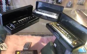 Harmonica Hole 10