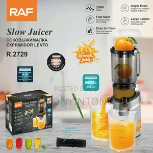 Raf 500ml Slow Juicer R2729