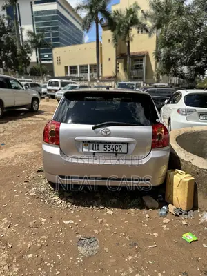 Toyota Allex 2007 Silver