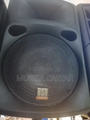 Bsa Pro Audiotm