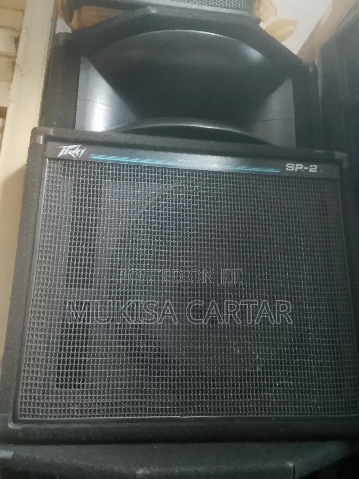 Peavey Pair Topstm