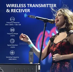 Wireless XLR Microphone System for Dynamic Microphone Pa System/Mixer