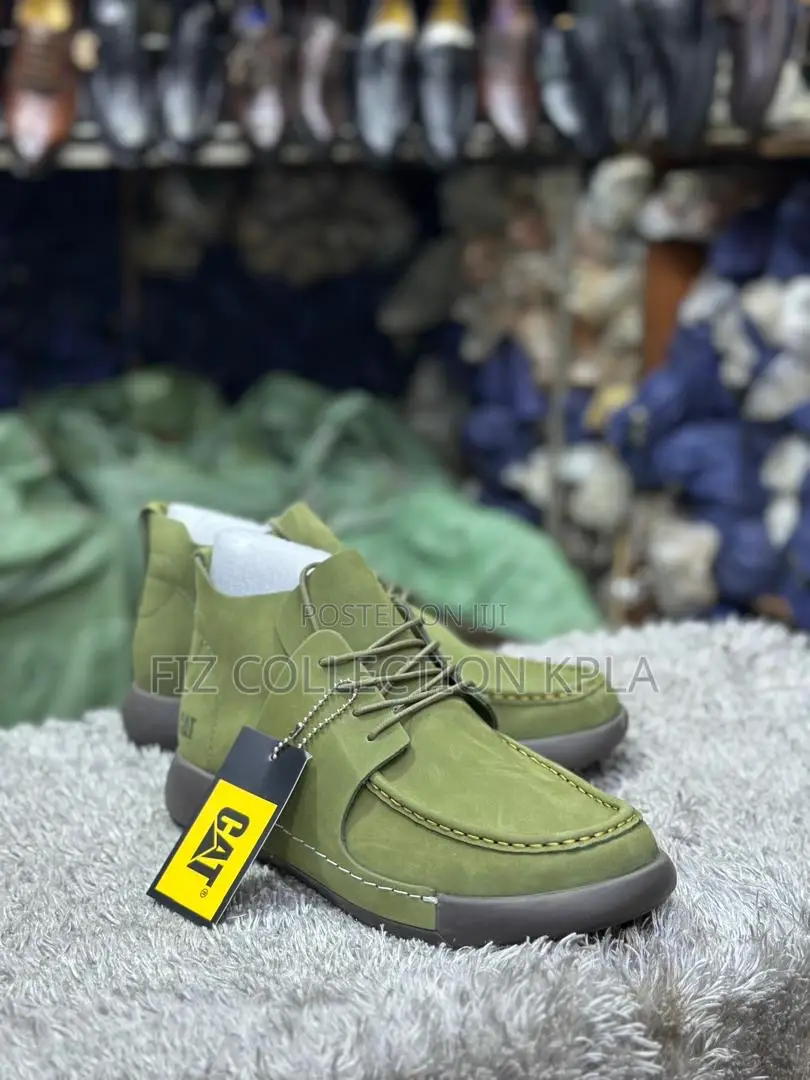 Cat Olive Terrain Casual