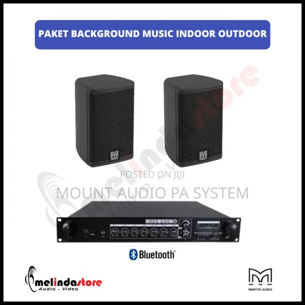 Martin Audio Pa System