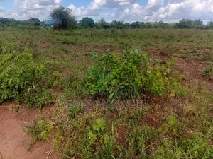 This Land Is on Sale