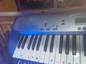 Casio Keyboard