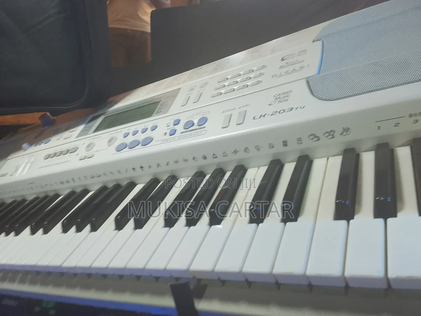Casio Lk-203tv