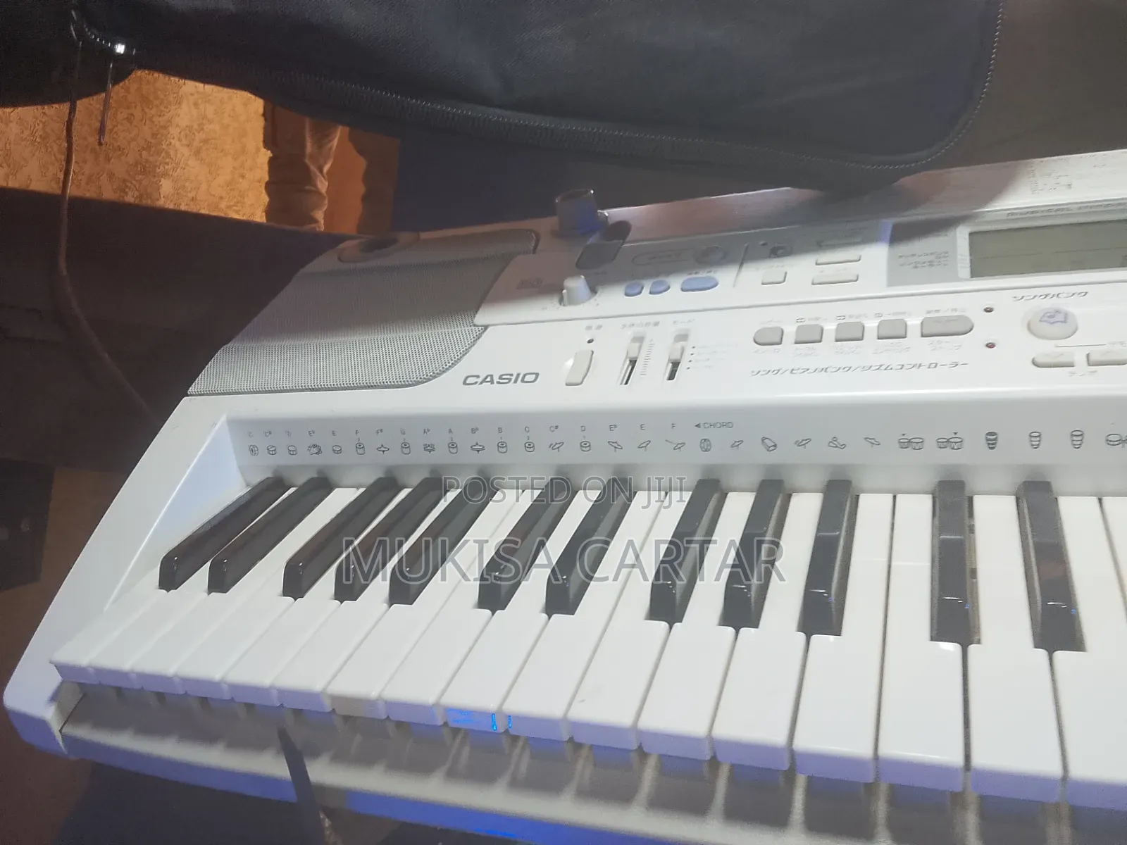 Casio Lk-203tv