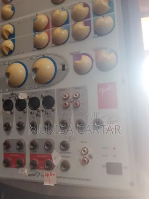Fender Pa System