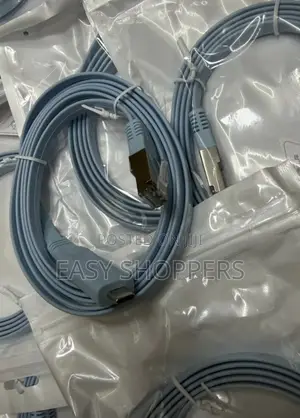 Usb-C to Rj45 Console Cable, Specifically a Rollover Cable
