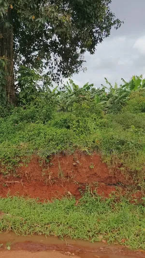 Plot for Sale Bweyogerere Butto