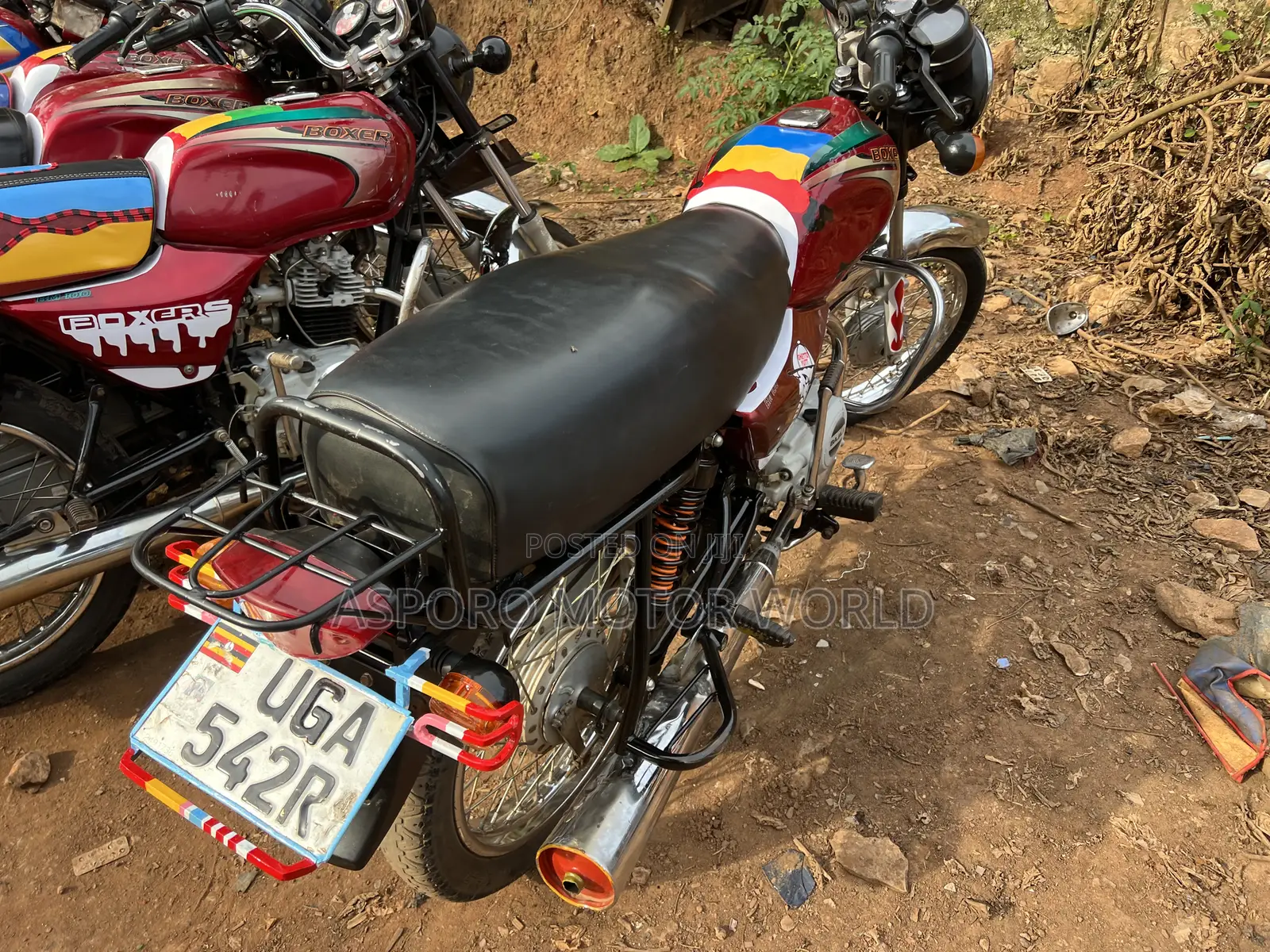 Bajaj Boxer 100 2024 Red