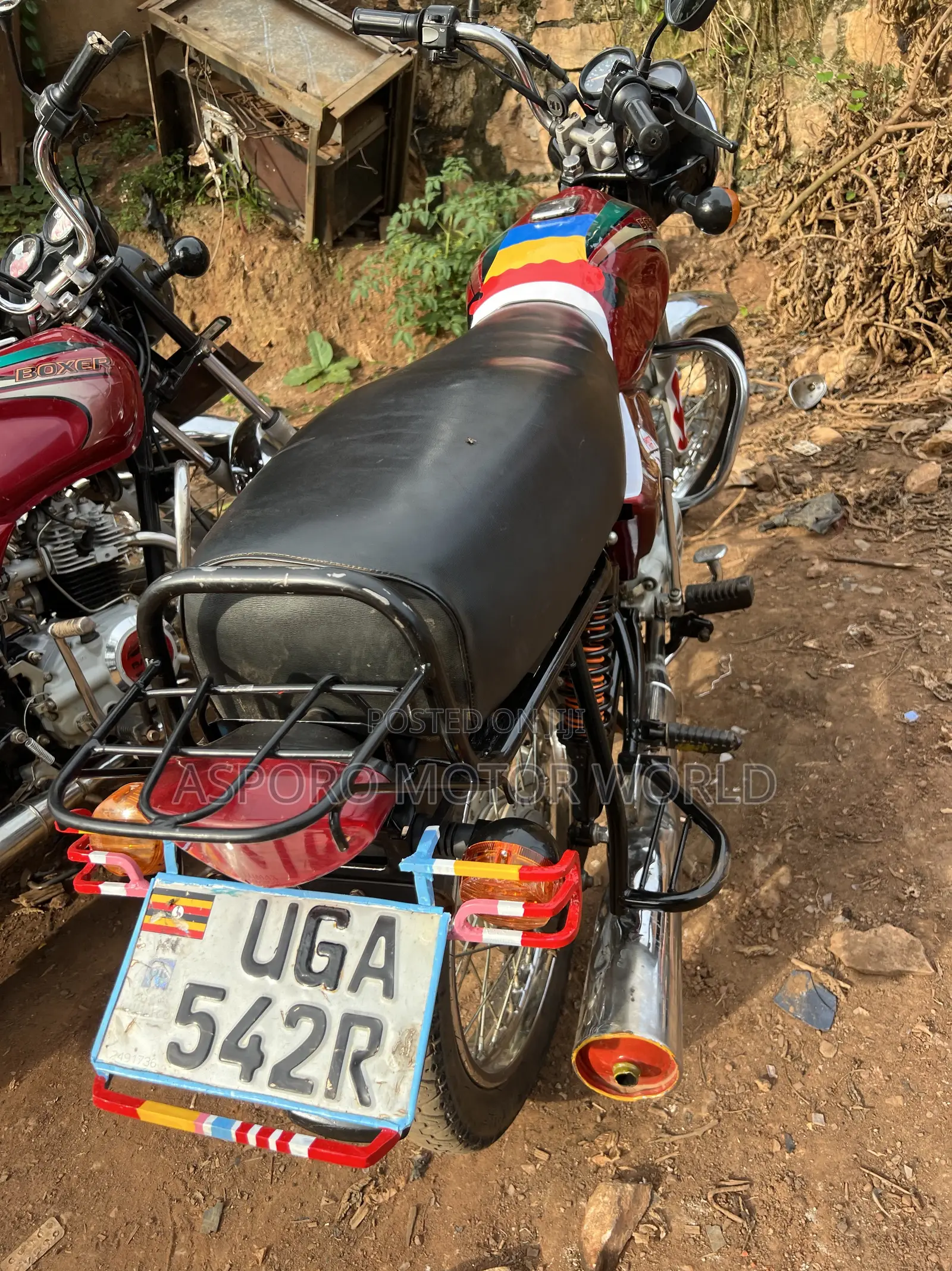 Bajaj Boxer 100 2024 Red