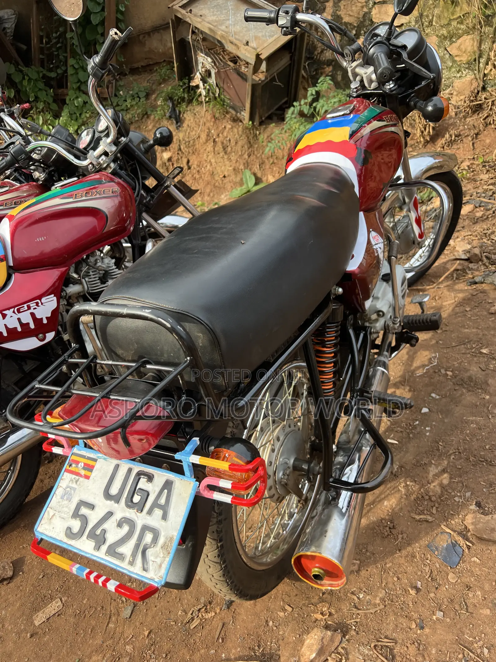 Bajaj Boxer 100 2024 Red