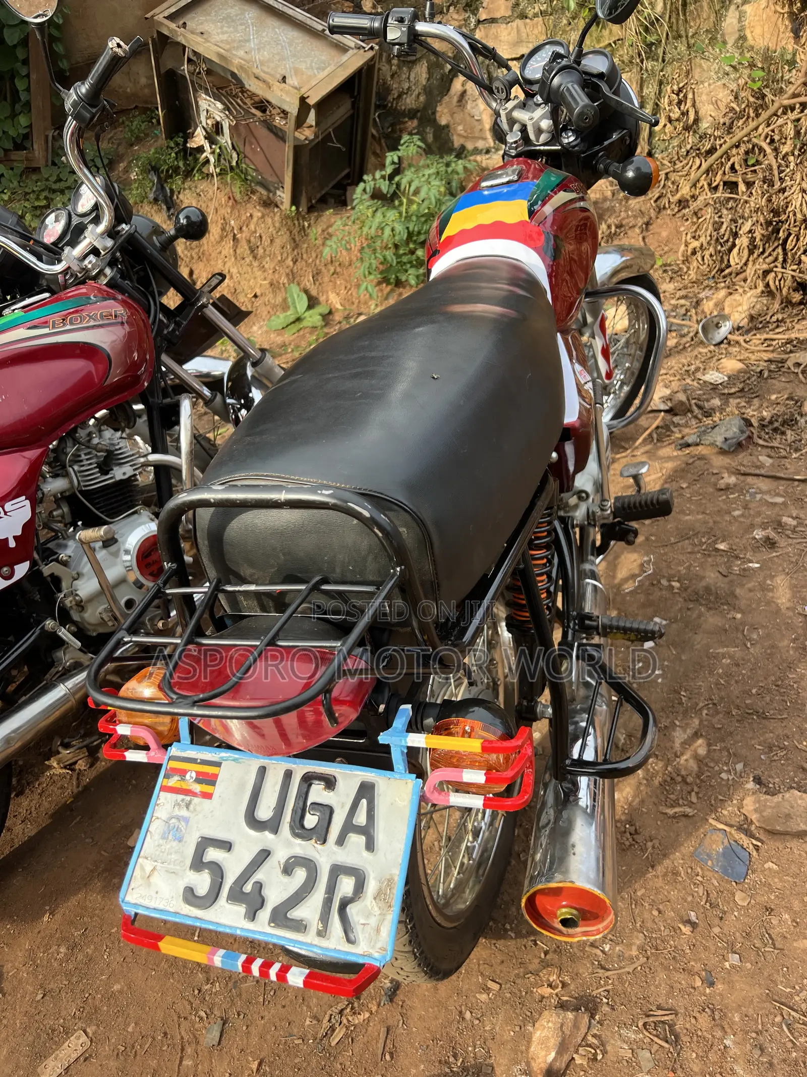 Bajaj Boxer 100 2024 Red