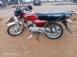 Bajaj Boxer 100 2024 Red