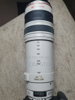 Canon Ef 100-400mm Lens