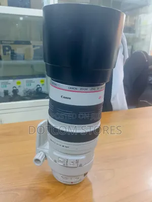 Canon Ef 100-400mm Lens