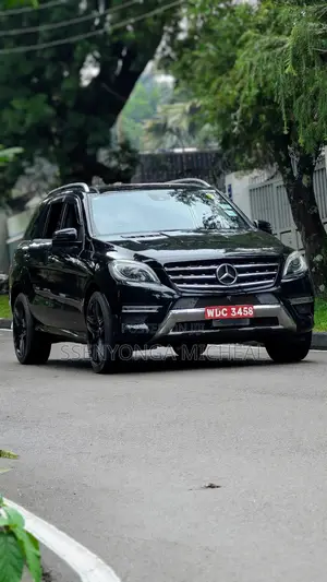 Mercedes-Benz M Class 2012 Black