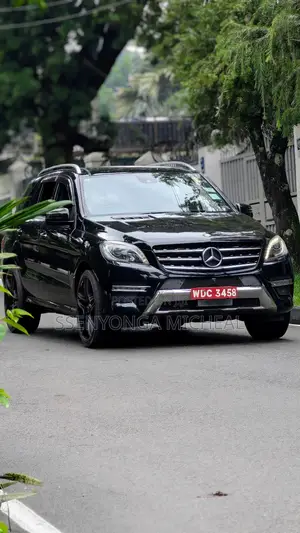 Mercedes-Benz M Class 2012 Black