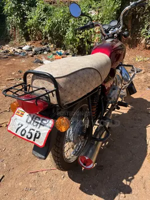 Bajaj Boxer 100 2024 Red