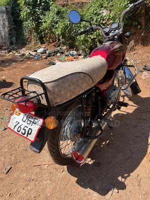 Bajaj Boxer 100 2024 Red