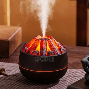 Charcoal Fire Flame Humidifier.