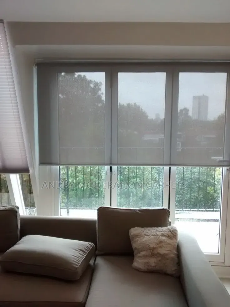 Sunroom Blind