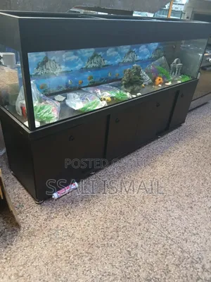 Big Size Black Aquarium