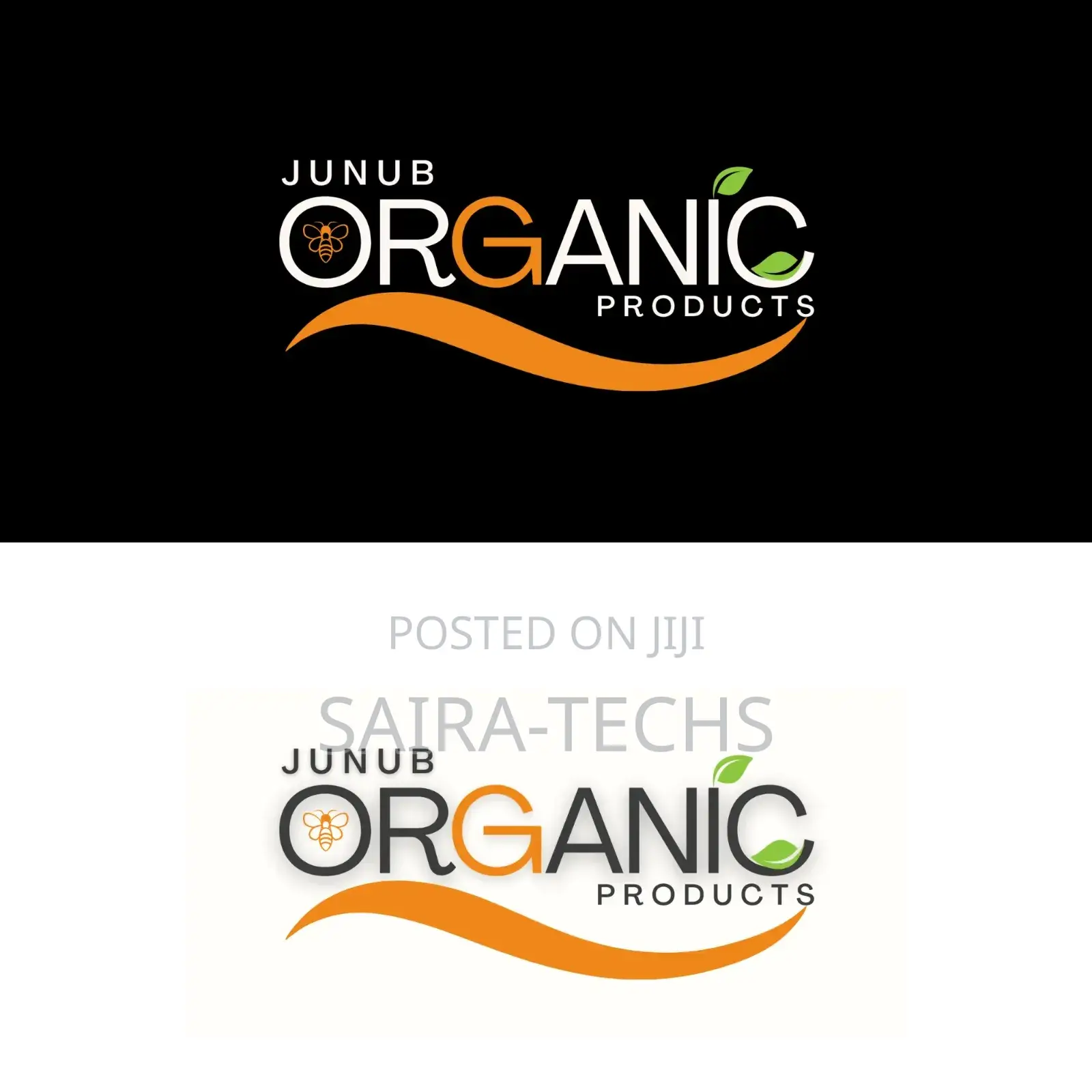 Professional Logo Design Service