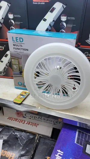 Multi-Functional Fan Light