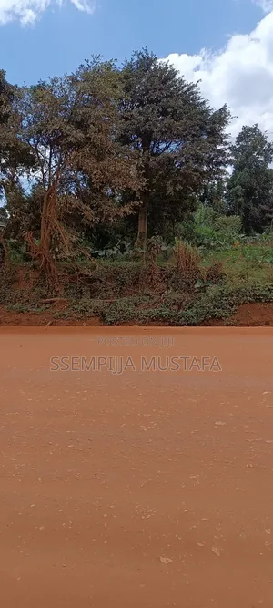 Plot for Sale
