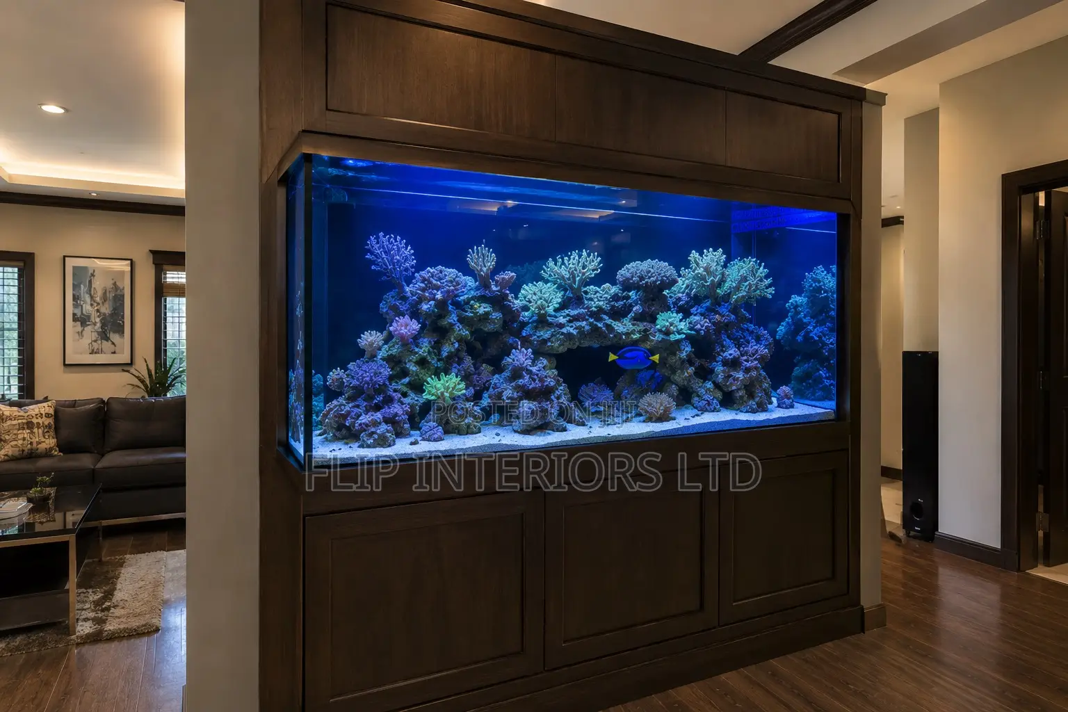 Custom Aquarium Design Installation Solutions