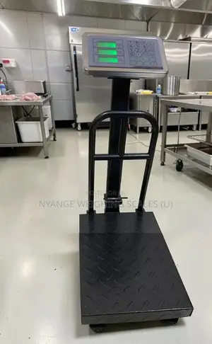 Boh Digital Weighing Scale 185kg Weigh Platform Digital Weighing Scale