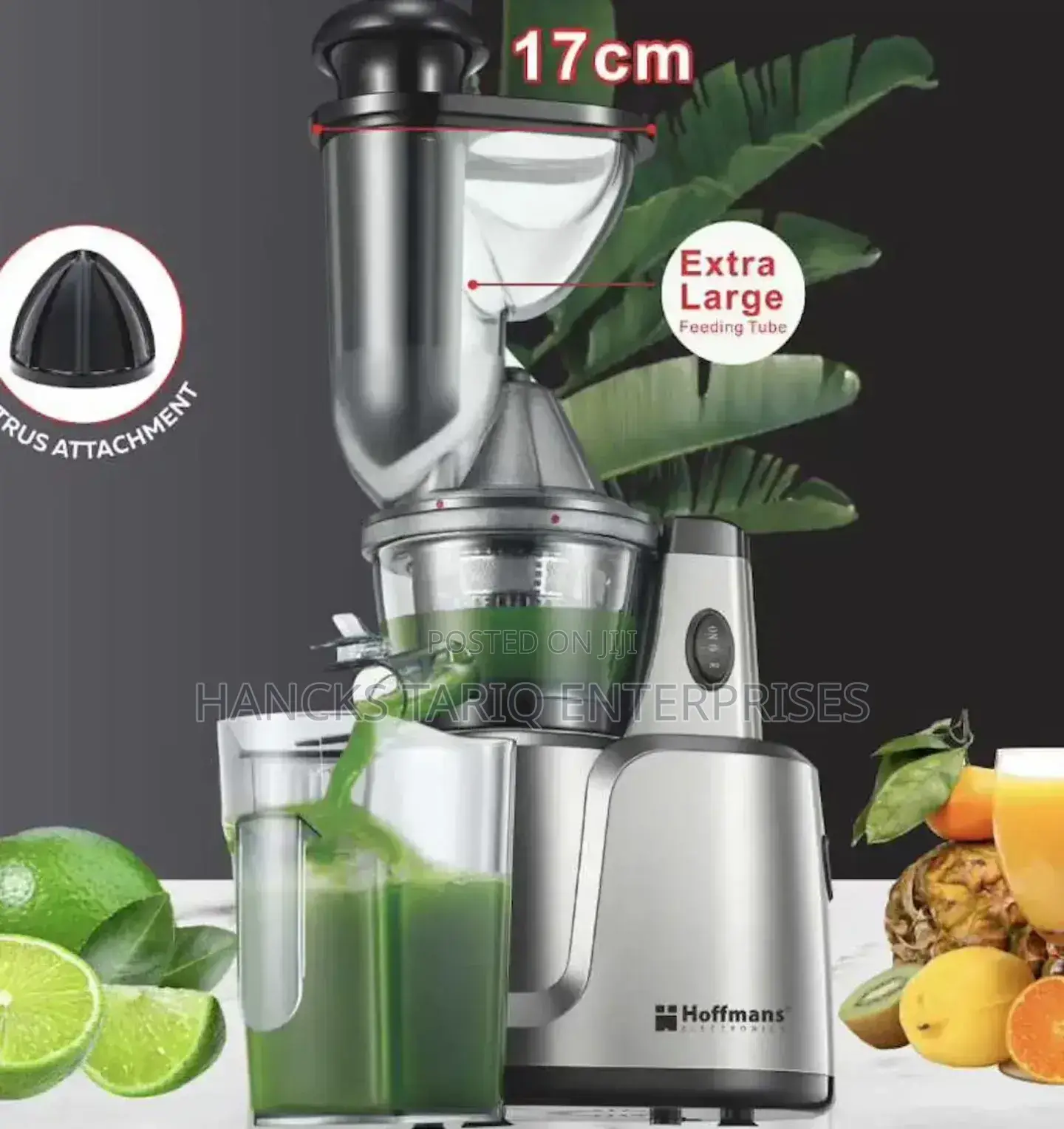 Hoffmans 2-in-1 Vertical Slow Juicer (Model Hm-638) – 280w