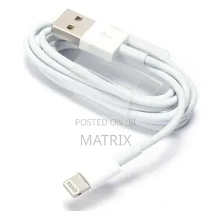 Usb Power Adapter and a Lightning to Usb Cable.