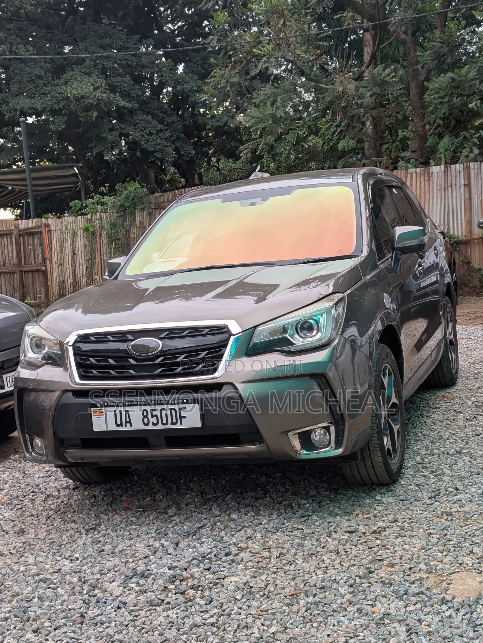 Subaru Forester 2016 Gray