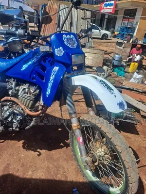 Suzuki Sport 2010 Blue