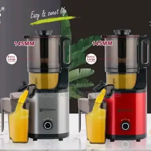 Hoffmans Electronics Slow Juicer
