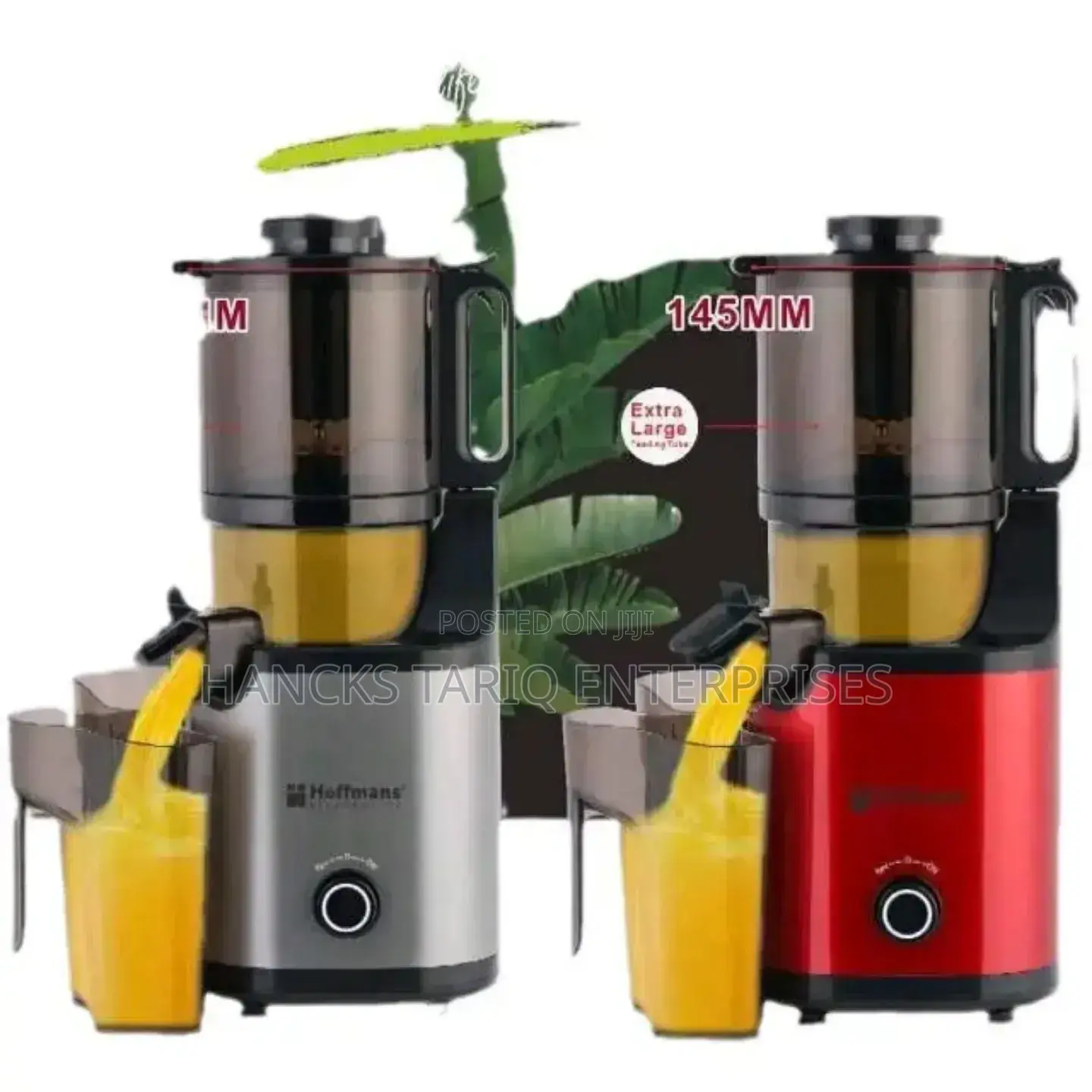 Hoffmans Electronics Slow Juicer