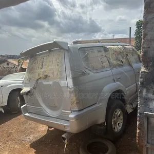 Quality Car Body Spraying