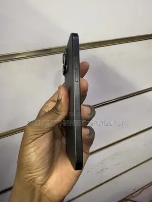 Apple iPhone 15 Pro Max 256 GB Black