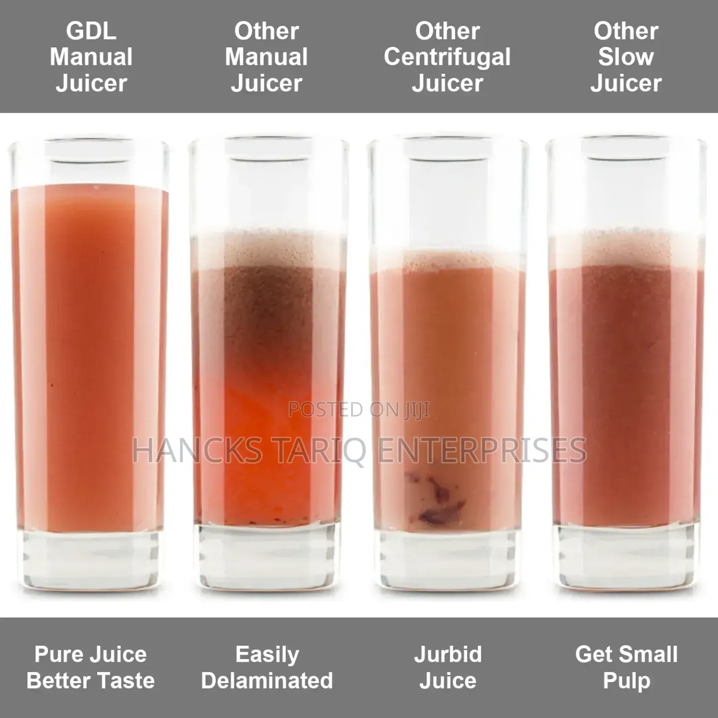 Manual Hand-Crank Fruit Vegetable Juicer