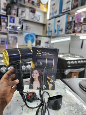 Potable Hair Dryer - Panda