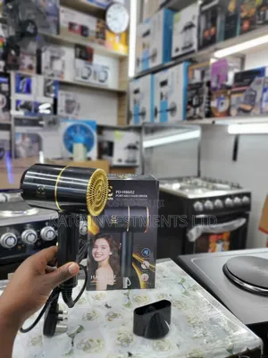 Potable Hair Dryer - Panda